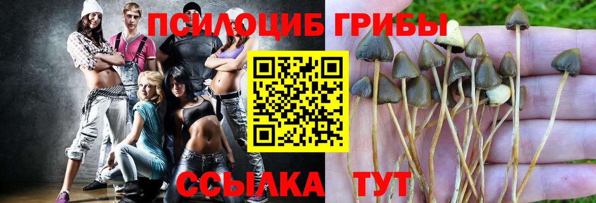 Псилоцибиновые грибы MAGIC MUSHROOMS Тейково