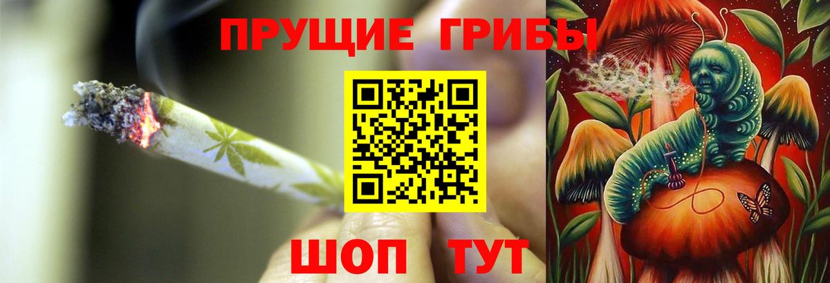 наркота  Вход с VPN  Тейково  Псилоцибиновые грибы MAGIC MUSHROOMS 